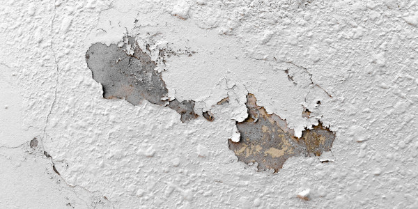 Pintar Fachadas de Naves Industriales, Fábricas y Almacenes en Sabadell · Pintura Antihumedad / Antimoho para Humedades / Moho